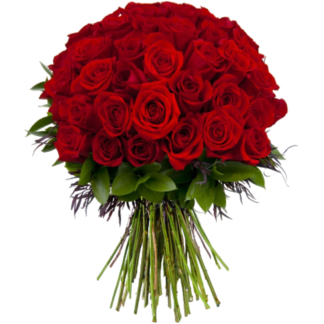 51 red roses | Flower Delivery Reutov